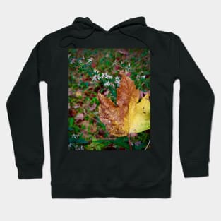 Maple Leaf and Wildflowers Hoodie